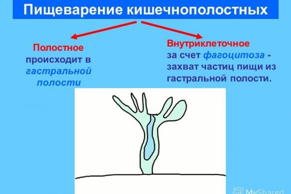 Как зарегистрироваться на кракене маркетплейс