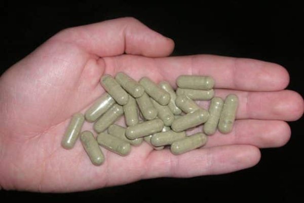 Kraken 24 top